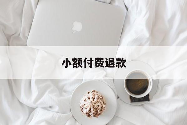 小额付费退款(小额付费退款怎么退)